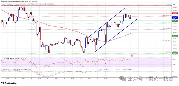 比特币价格正在复苏——但势头却讲述了不同的故事