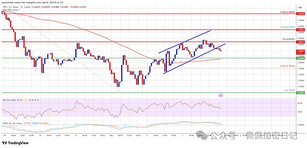 XRP 价格恢复失败 – 是否注定再次崩盘