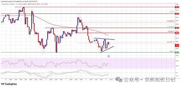 BNB 价格在 850 美元以下挣扎——势头正在快速消退吗