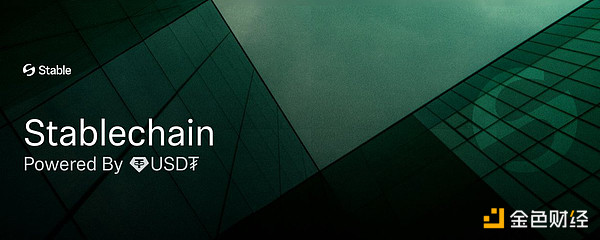 TokenInsight：稳定币专属区块链的崛起