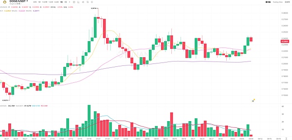 DOGE支撑到位、Sapien狂涨80%、Solana16亿战略注资、币圈行情热度飙升