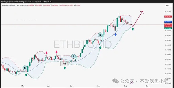弹簧压得越紧弹得越猛、BTC/ETH 憋大招、山寨币狂欢要小心、还有个 20 倍黑马？