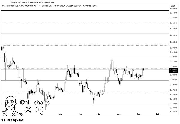 BTC盘整不改看涨信心、DOGE平行通道蓄能、牛市节奏悄然加快