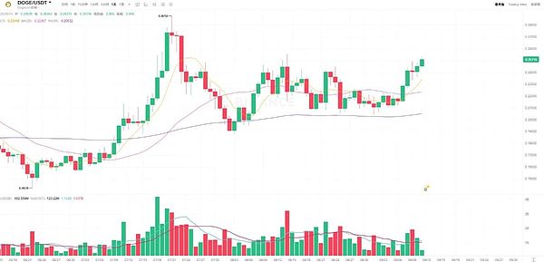 BTC盘整不改看涨信心、DOGE平行通道蓄能、牛市节奏悄然加快