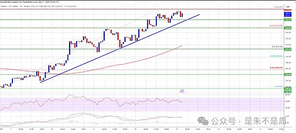 BTC靠数据 “续命” 涨破11.4万、DOGE冲 0.5 刀就差临门一脚？SOL 偷偷飙到 226 了