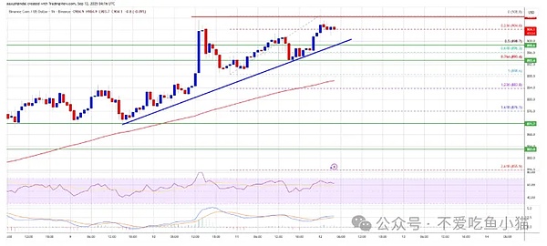 BNB冲 908、SOL稳 210\XRP鲸鱼抛了还涨\DOGE被公司扫货\meme币黑马都快卖光了?