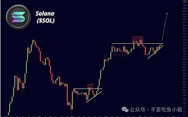 BNB冲 908、SOL稳 210\XRP鲸鱼抛了还涨\DOGE被公司扫货\meme币黑马都快卖光了?