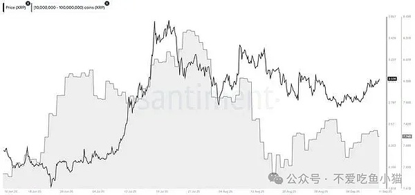 BNB冲 908、SOL稳 210\XRP鲸鱼抛了还涨\DOGE被公司扫货\meme币黑马都快卖光了?