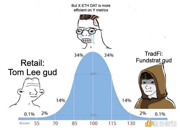 山寨币DAT投资避坑指南