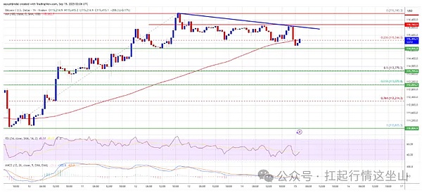 BTC卡关、SOL猛冲、DOGE揣着 ETF 王炸