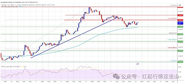 BTC卡关、SOL猛冲、DOGE揣着 ETF 王炸