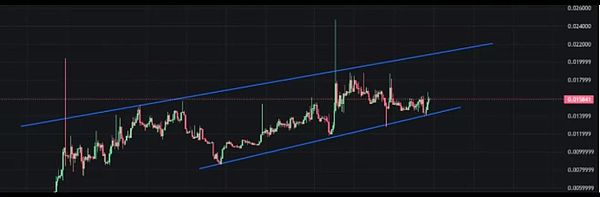 降息在即 BTC未见顶 巨鲸狂扫ETH Meme回落后谁能跑出 市场要变天