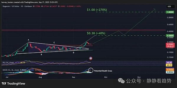 最后的上车机会狗狗币ETF本周来袭巨鲸涌入目标直指10美元DOGE狂欢开始