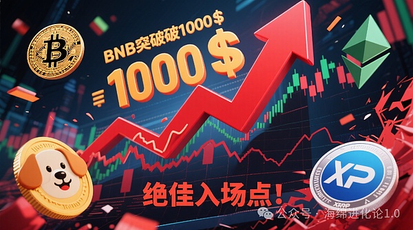 比特币、以太坊暴涨 山寨币疯涨  BNB涨破1000刀 狗狗币、XRP今晚涨上天 绝佳入场点来了