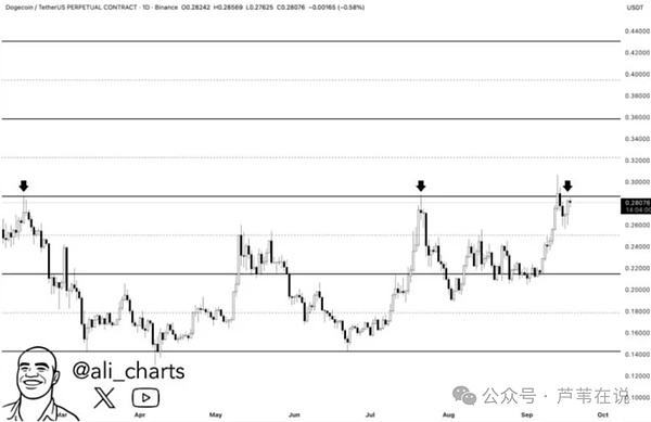 巨鲸狂吞2.8亿枚!狗狗币ETF引爆市场,0.5美元仅一步之遥?