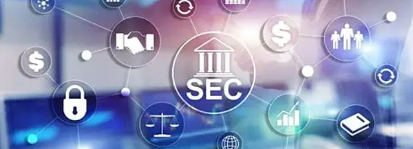 王者未陨：XRP 与 Solana 的差异化突围之路 —— 区块链多链时代的生态分野