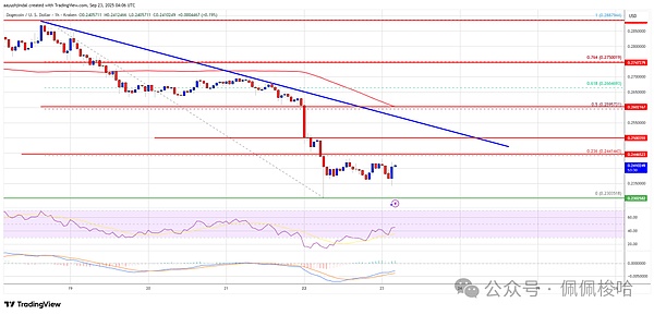 狗狗币（DOGE)大跌是“黄金坑”最后一次洗盘大反弹前的最佳入场点