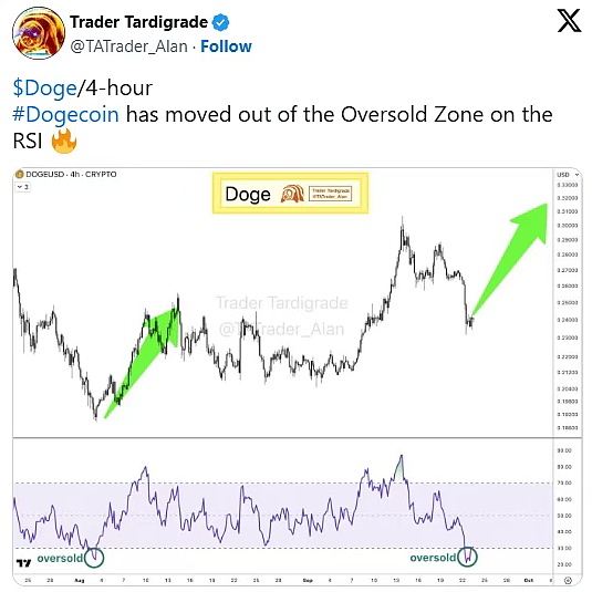 BTC守稳高位、山寨币轮换减弱、DOGE与SHIB在迷雾中释放看涨信号