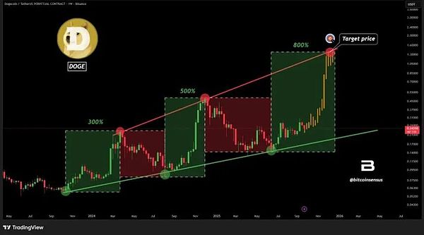 800%涨幅太疯狂、DOGE多头嗨翻------Solana却让人心惊肉跳
