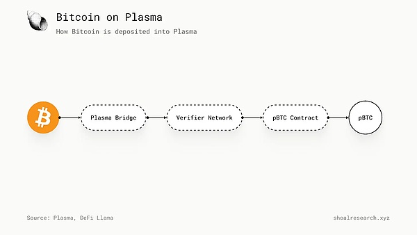 Plasma 深度研究：赛道痛点、创新机制与未来前景