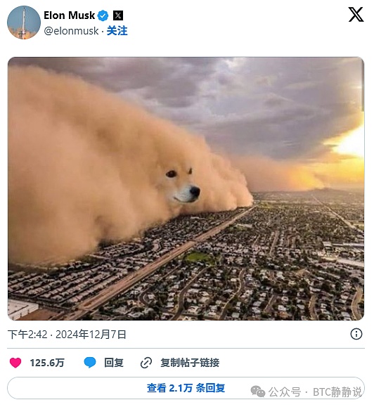 DOGE传奇 揭秘“狗狗币之父”：伊隆·马斯克与狗狗币不为人知的背后故事