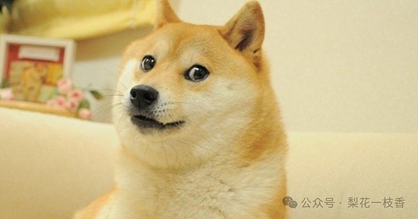 黄金交叉在即狗狗币（DOGE）稳守0.20美元支撑 下一站0.35美元