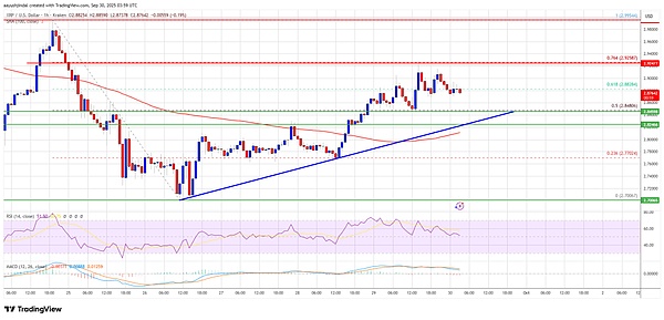 爆点来了：XRP、Solana 面临关键抉择---这波行情不能忽视