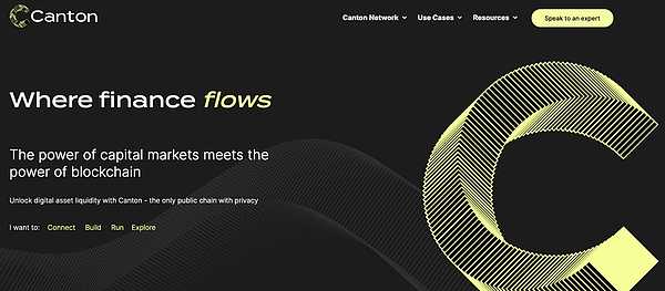 一文了解 Canton Network：具有机构级隐私与合规性的公共区块链