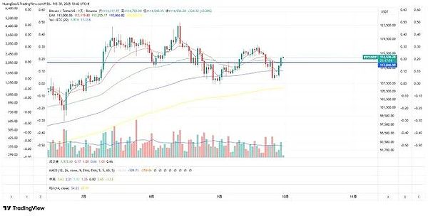 BTC 站上 11.3 万多空线、ETH 微损后赚 3-5 倍、AVAX 低多稳了、MEME 却看腻了？