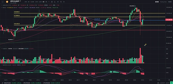 暴跌是 “老套路洗盘”？BTC+U占比66%揭示牛市仍在、BSC小市值币现“低吸机会”