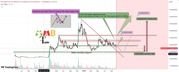 加密大洗牌:PEPE清算潮过去、多头坚守支撑---下一个涨幅230%就在眼前