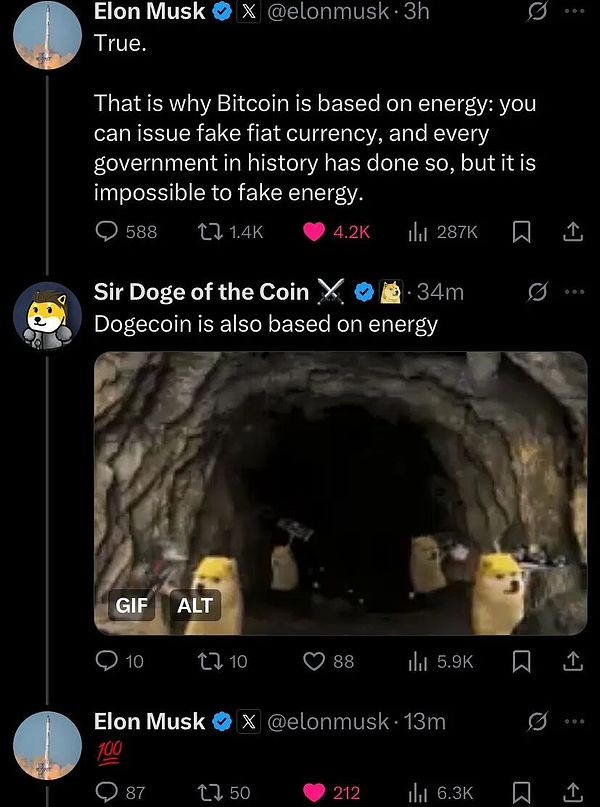 DOGE低位蓄势 + 马斯克再发声:持有者竟在偷偷布局下一轮大行情