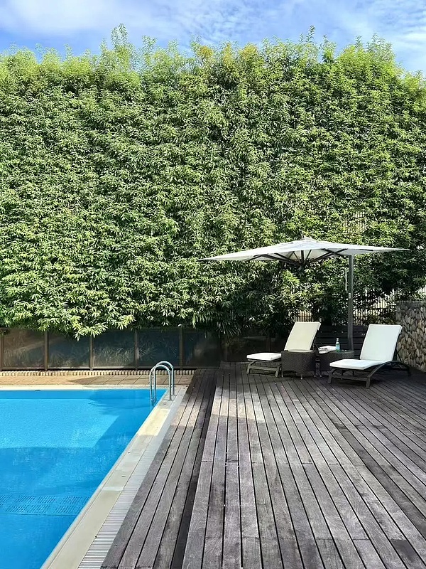 专访郭宇 | 在28岁财富自由退休 在34岁寻找下一个浪头