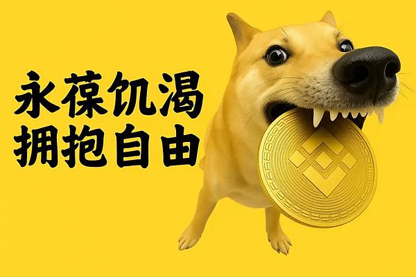 BSC Meme潮财富效应再现,十倍空间即将起航,想参与的来!!!