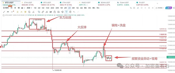巨鲸抄底 比特币、以太坊还有暴涨？山寨值得关注的10倍币
