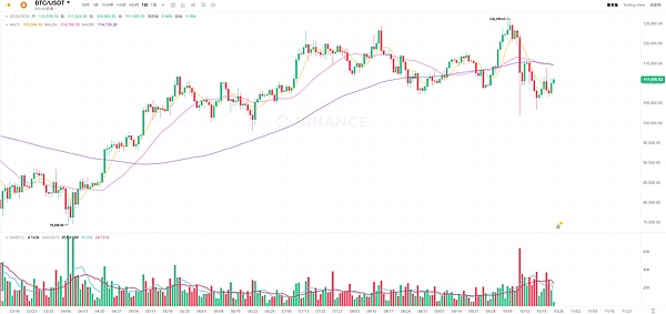 BTC下一轮高点要等到2026年?再冲110K只是热身、这波慢牛有戏