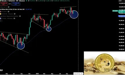 11月预言 DOGE季节性暴涨在即  三大关键条件缺一不可