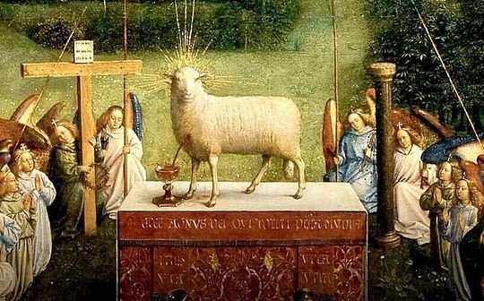 Poupées pédopornographiques : La justice ouvre quatre enquêtes ouvertes contre Shein AliExpress Te