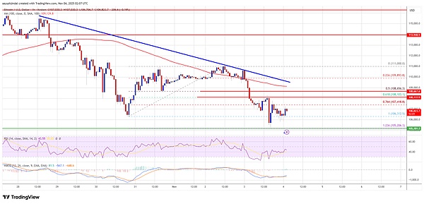 币圈风暴夜：鲸鱼炸场、韭菜慌了---BTC、SHIB双双陷入“熊之舞”