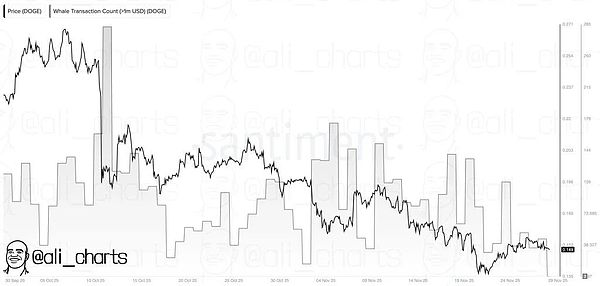 狗狗币鲸鱼活动