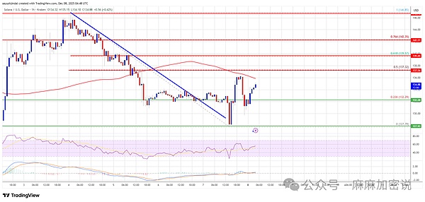 索拉纳·普莱斯