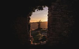 Greenfield 展望加密 2026 ：十大关键问题与机会