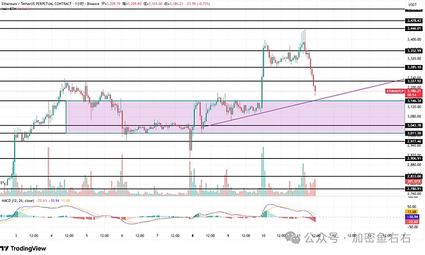 大跳水 比特币、以太坊还要跌?多头要守住的位置 买山寨如做狗?
