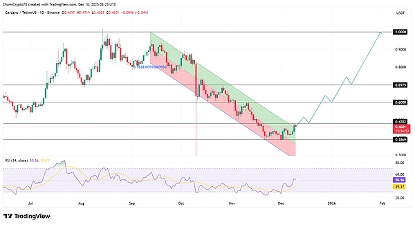 卡尔达诺价格走势分析