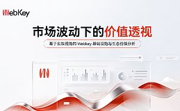 市场波动中的 WebKey 真实价值