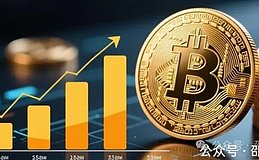 邵诗巍律师 | Web3项目方遭受侵害后能否在中国大陆报案维权?