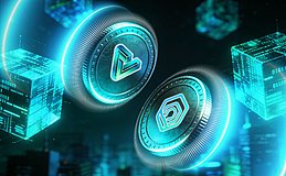 VEILPLUS全球流量计划