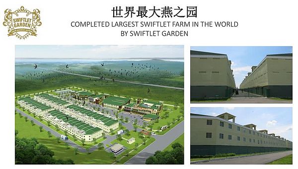 永旗链拟用2亿美元VBC收购燕之园,区块链+食品溯源走上防伪之路