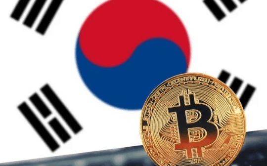 韩国Crypto的“泡菜文化”：对DeFi收益不感兴趣  偏爱高波动性山寨币