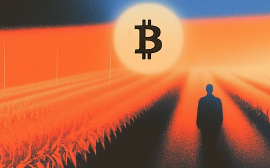 Bankless:比特币能在链上蓬勃发展吗?